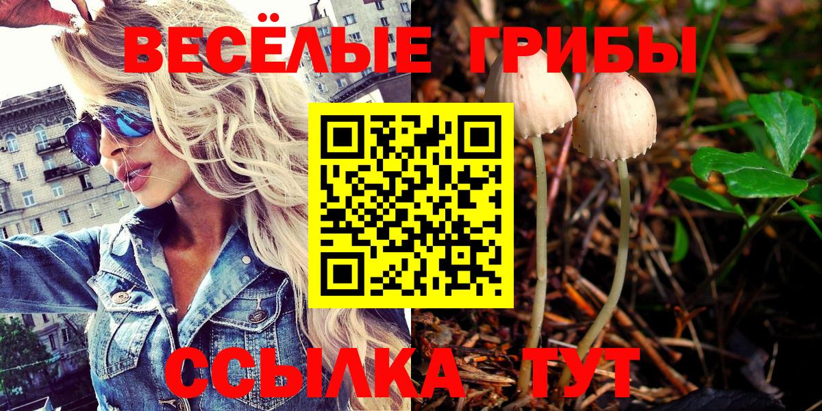 Псилоцибиновые грибы мухоморы Барнаул